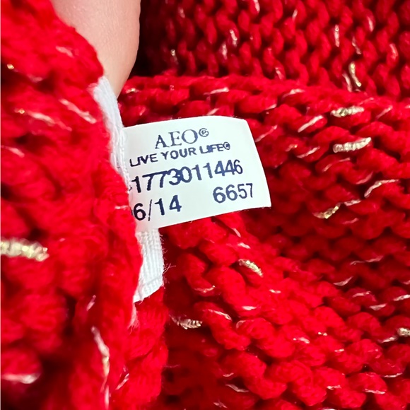 American Eagle Outfitters Vintage Boyfriend Sweater - Picture 14 of 14